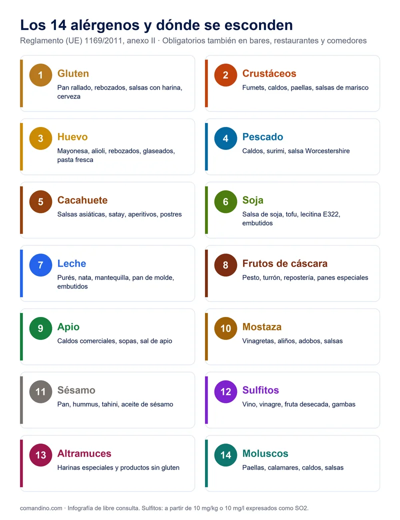 Infografía de los 14 alérgenos de declaración obligatoria y los alimentos en los que se esconden