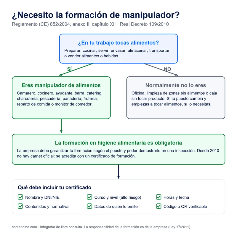 Esquema para saber si necesitas la formación de manipulador de alimentos: si tocas alimentos eres manipulador y la formación es obligatoria; qué debe incluir el certificado
